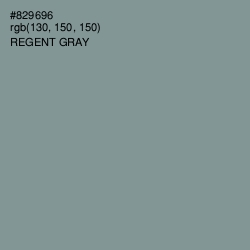 #829696 - Regent Gray Color Image