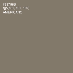 #83796B - Americano Color Image