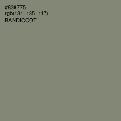 #838775 - Bandicoot Color Image