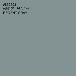 #839393 - Regent Gray Color Image