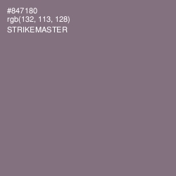 #847180 - Strikemaster Color Image