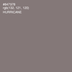 #847978 - Hurricane Color Image