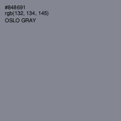 #848691 - Oslo Gray Color Image