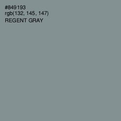 #849193 - Regent Gray Color Image