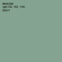 #84A390 - Envy Color Image