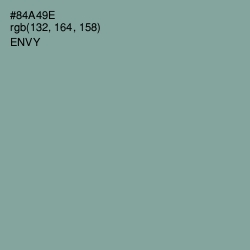#84A49E - Envy Color Image