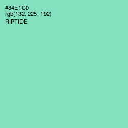 #84E1C0 - Riptide Color Image