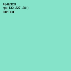 #84E3C9 - Riptide Color Image
