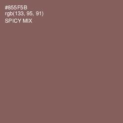 #855F5B - Spicy Mix Color Image