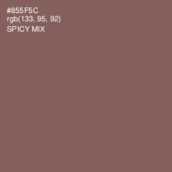 #855F5C - Spicy Mix Color Image