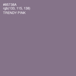 #85738A - Trendy Pink Color Image