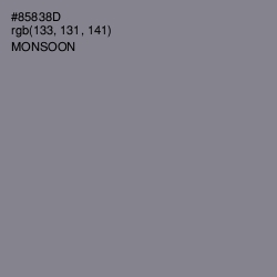 #85838D - Monsoon Color Image