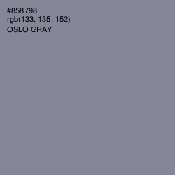 #858798 - Oslo Gray Color Image
