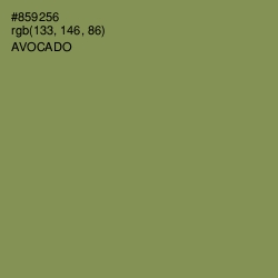 #859256 - Avocado Color Image