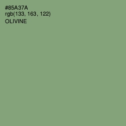 #85A37A - Olivine Color Image