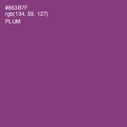 #863B7F - Plum Color Image