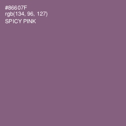#86607F - Spicy Pink Color Image