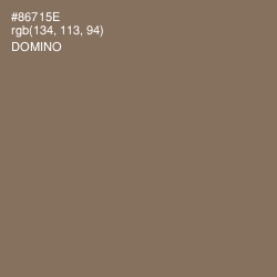 #86715E - Domino Color Image
