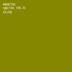 #868700 - Olive Color Image