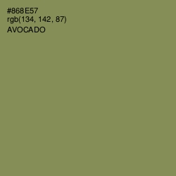 #868E57 - Avocado Color Image