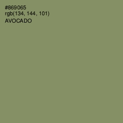 #869065 - Avocado Color Image