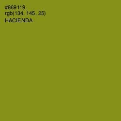#869119 - Hacienda Color Image