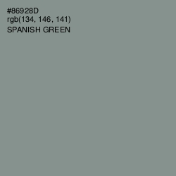 #86928D - Spanish Green Color Image