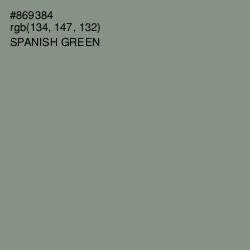#869384 - Spanish Green Color Image