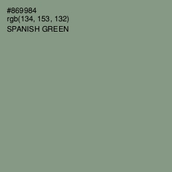 #869984 - Spanish Green Color Image