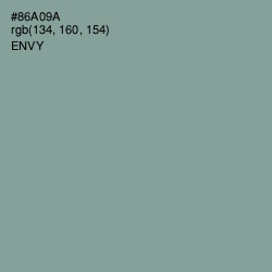 #86A09A - Envy Color Image