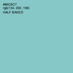 #86C8C7 - Half Baked Color Image