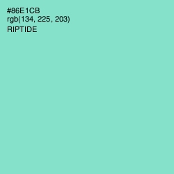 #86E1CB - Riptide Color Image