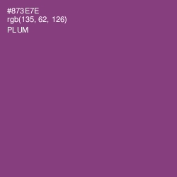 #873E7E - Plum Color Image