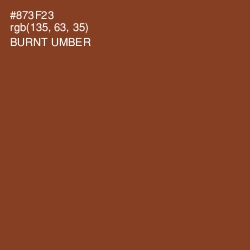 #873F23 - Burnt Umber Color Image