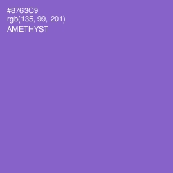 #8763C9 - Amethyst Color Image