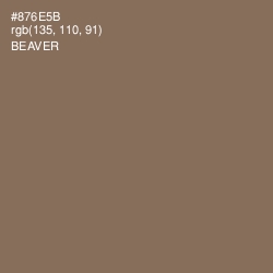 #876E5B - Beaver Color Image