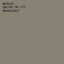 #878475 - Bandicoot Color Image