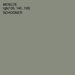 #878C7E - Schooner Color Image
