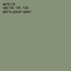 #879178 - Battleship Gray Color Image
