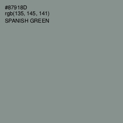 #87918D - Spanish Green Color Image