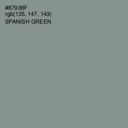 #87938F - Spanish Green Color Image
