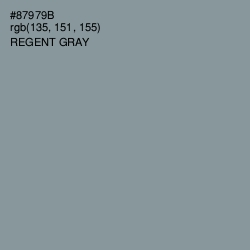#87979B - Regent Gray Color Image
