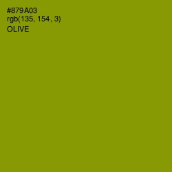 #879A03 - Olive Color Image