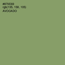 #879E69 - Avocado Color Image