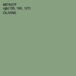 #87A07F - Olivine Color Image