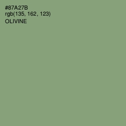 #87A27B - Olivine Color Image