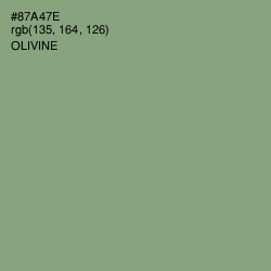#87A47E - Olivine Color Image