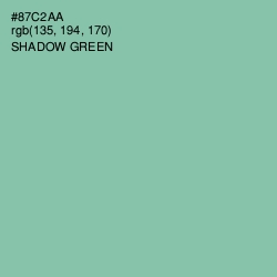 #87C2AA - Shadow Green Color Image