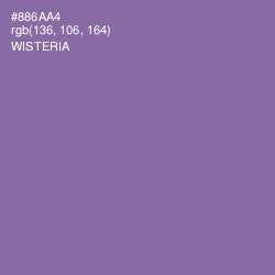 #886AA4 - Wisteria Color Image