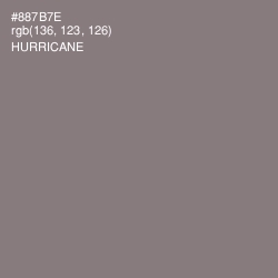 #887B7E - Hurricane Color Image